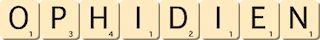 ophidien ophidien