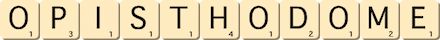 opisthodome
