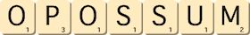opossum opossum