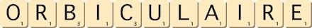 orbiculaire orbiculaire