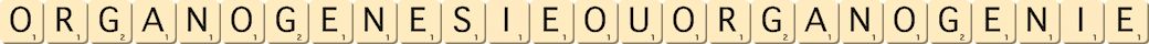organogenesie-ou-organogenie