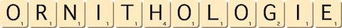 ornithologie ornithologie