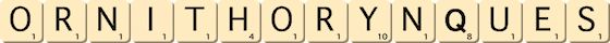 ornithorynques