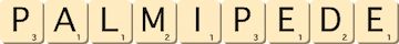 palmipede