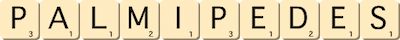 palmipedes
