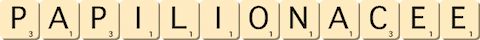 papilionacee