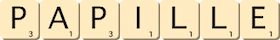 papille