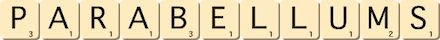 parabellums parabellums