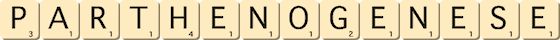 parthenogenese parthenogenese