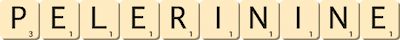 pelerin--ine