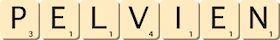 pelvien