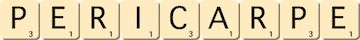 pericarpe pericarpe