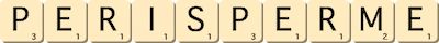 perisperme