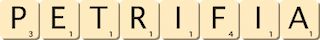 petrifia petrifia