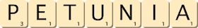 petunia