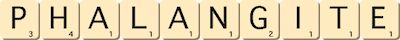 phalangite