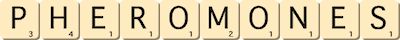 pheromones pheromones