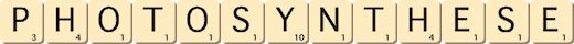 photosynthese photosynthese