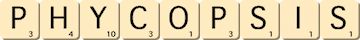 phycopsis