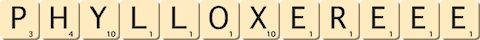 phylloxere--ee
