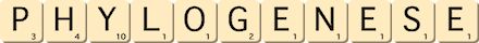 phylogenese phylogenese