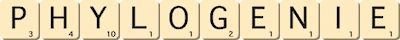 phylogenie