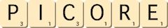 picore picore