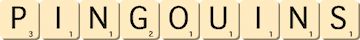pingouins