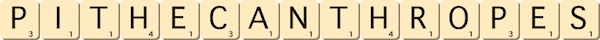pithecanthropes pithecanthropes