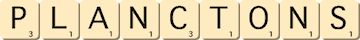 planctons planctons