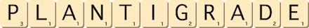 plantigrade plantigrade