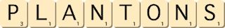plantons plantons