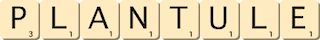 plantule