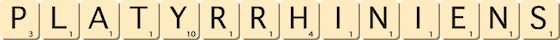 platyrrhiniens
