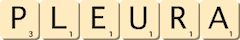 pleura