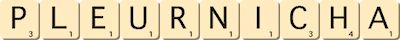 pleurnicha pleurnicha