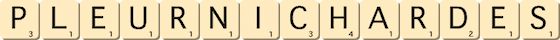 pleurnichardes pleurnichardes