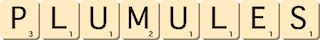 plumules plumules