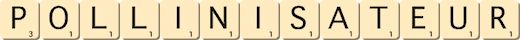 pollinisateur