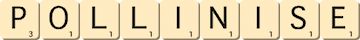 pollinise