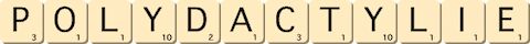 polydactylie polydactylie