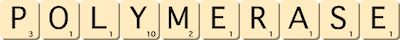 polymerase polymerase