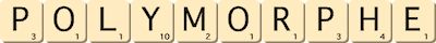 polymorphe polymorphe