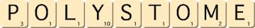 polystome