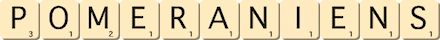 pomeraniens pomeraniens