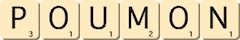 poumon poumon