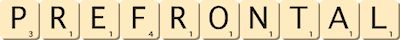 prefrontal prefrontal