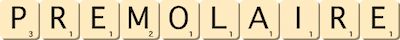 premolaire premolaire