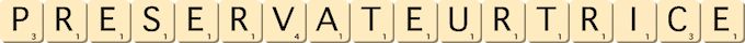 preservateur--trice