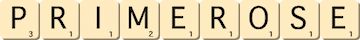 primerose primerose
